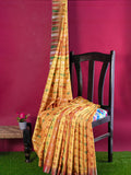 Mina Par Hajar Buti Saree